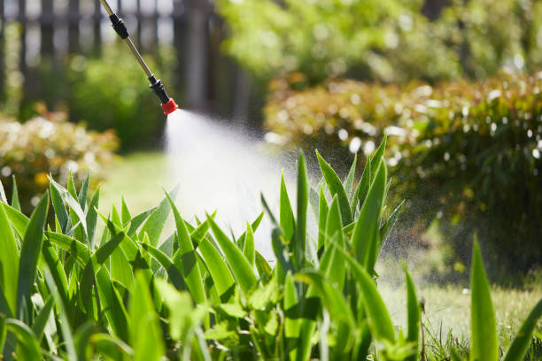 24/7 Emergency Mosquito Control experts in Schnecksville, PA