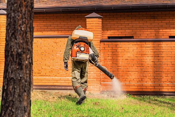 Trusted Cockroach Control service in Schnecksville, PA - Nex Pest Control